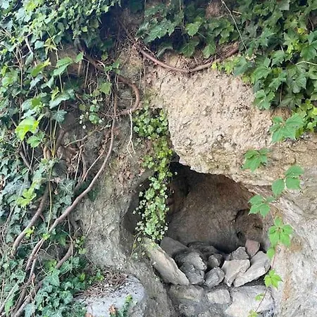 Morris Vacka アパート *