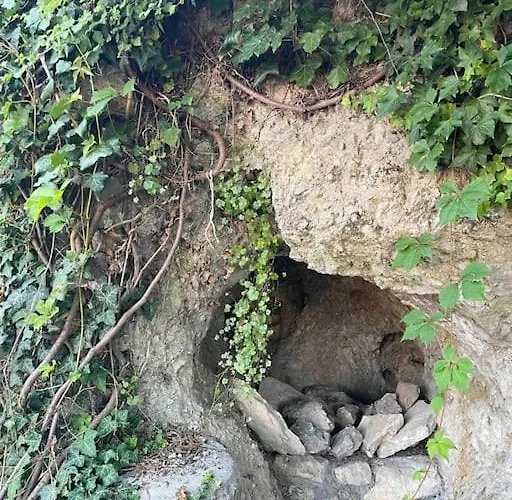 Morris Vacka Apartament *